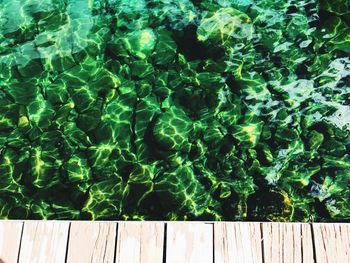 Full frame shot of swimming pool