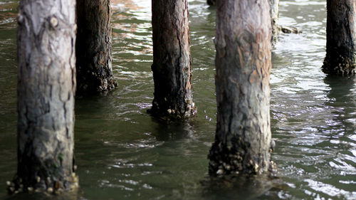 View of wooden post in lake