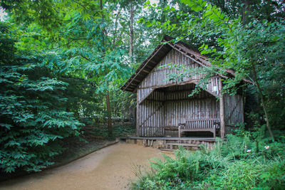 House amidst trees and plants in forest