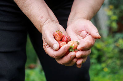 Close-up of man holding strawberries