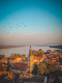 Birds flying over buildings in city against sky