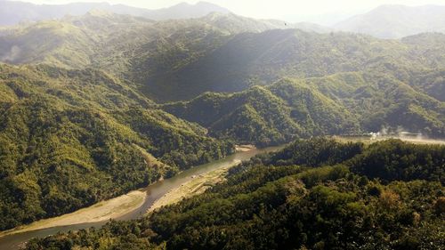 High angle view of lake along lush foliage