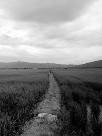 Scenic view of landscape against cloudy sky