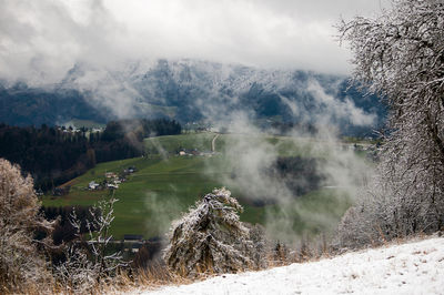 View of trees on snow covered landscape