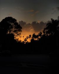 Silhouette trees by road against sky during sunset