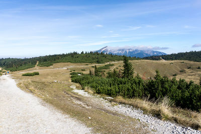 Dirt road passing through agricultural field