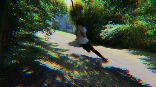 Bird flying over trees