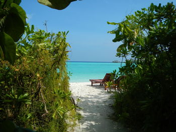 Scenic view of beach against sky