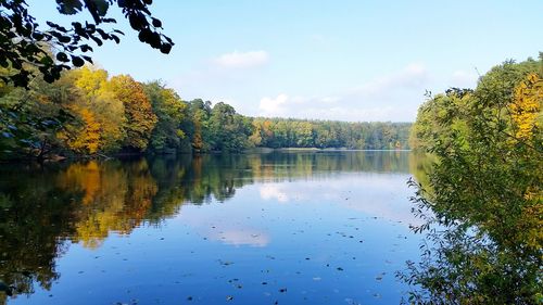 Reflection of trees in lake against sky