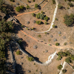 High angle view of road amidst trees