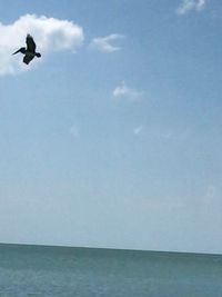 Bird flying over sea against sky