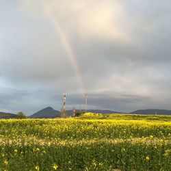 Scenic view of field against cloudy sky