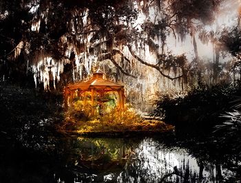 Reflection of trees in water