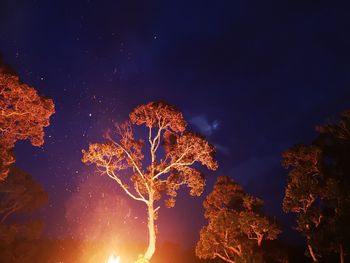 Low angle view of fireworks against sky at night