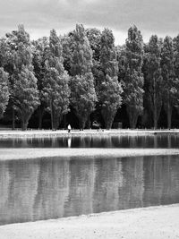 Trees by lake against sky