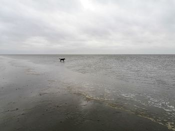 Scenic view of sea against sky, tide is coming 