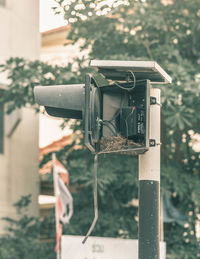 Close-up of mailbox hanging on tree in yard