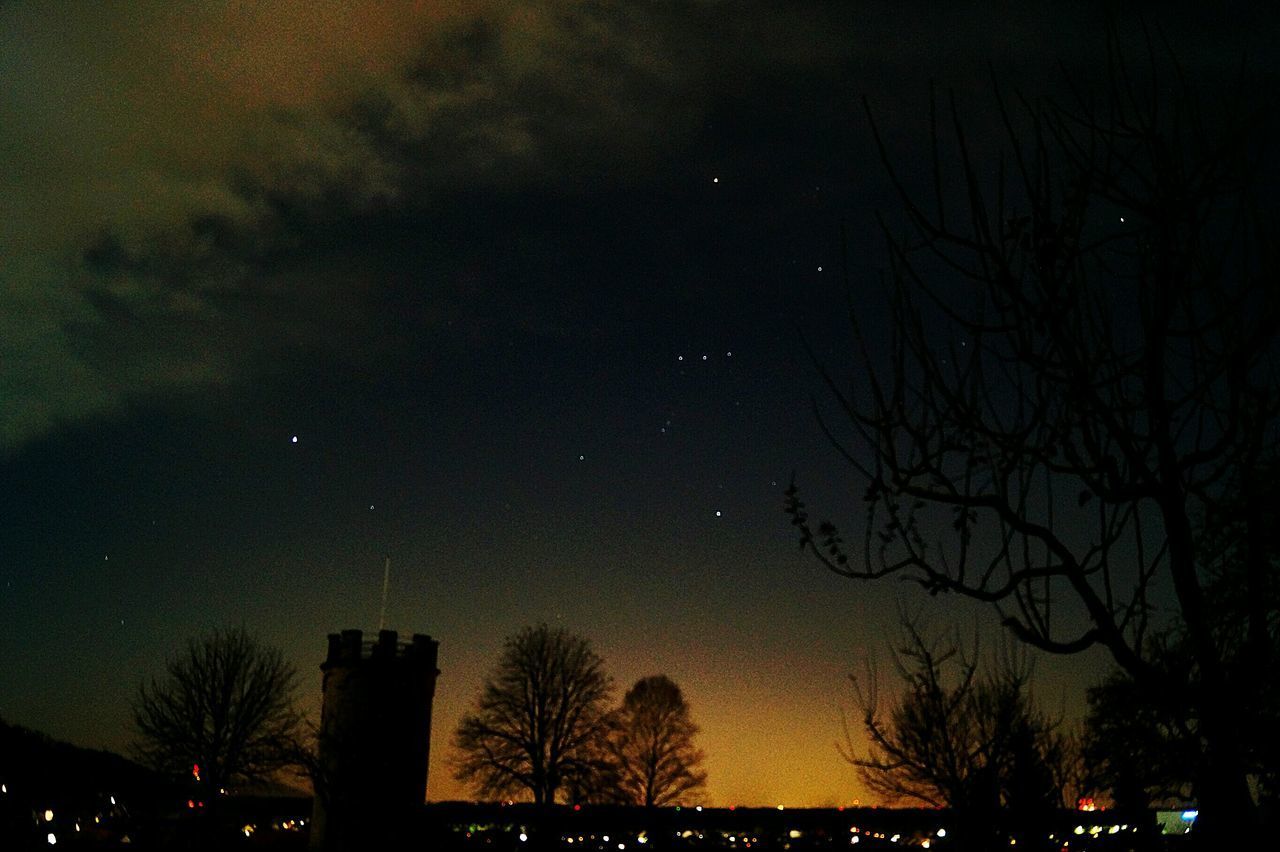 LOW ANGLE VIEW OF TREES AT NIGHT