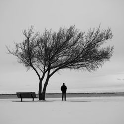 Silhouette bare tree on snow covered land against sky