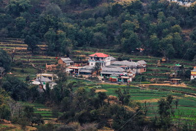 High angle view of houses and trees on field