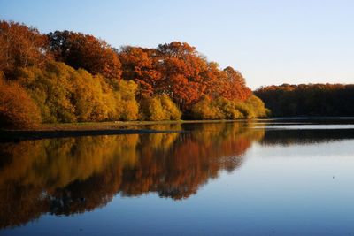 reflection