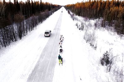 Snow covered road amidst trees during winter