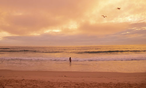 Scenic view of beach against sky during sunset