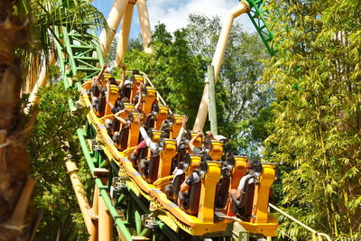 Chain swing ride in forest