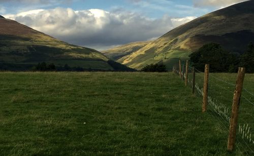 Scenic view of grassy field against sky