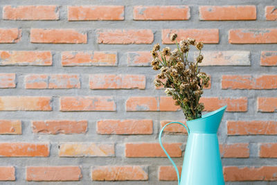 Close-up of potted plant against brick wall