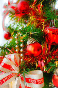 Close-up of christmas tree