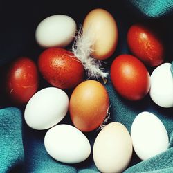 Close-up of eggs against black background