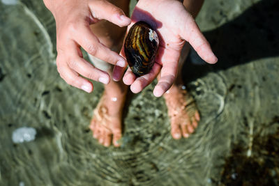 High angle view of hands holding water