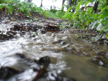 Stream flowing through rocks