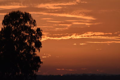 Low angle view of silhouette trees against dramatic sky