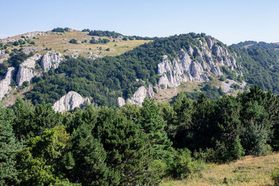 Panoramic view of trees and mountains against sky