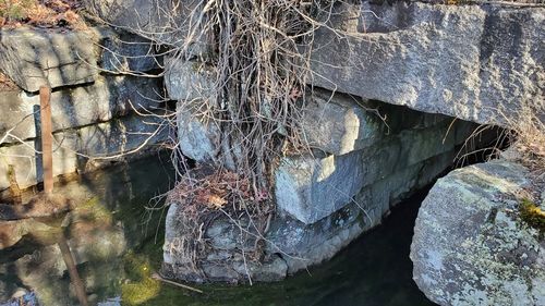 Full frame shot of rock in water