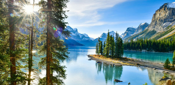 Scenic view of lake by trees against sky