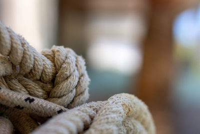 Close-up of rope tied up on wood