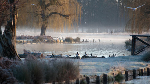 Scenic view of lake during winter