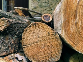 Stack of logs