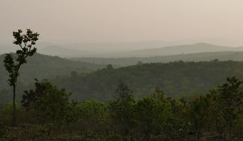 Scenic view of trees and mountains against sky