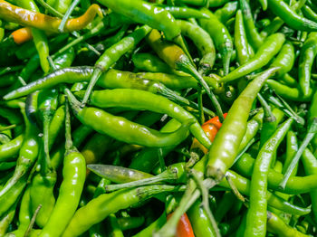 Full frame shot of green chili peppers