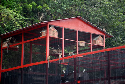 Red house and trees in forest