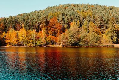 Scenic view of lake by trees during autumn