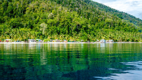 Scenic view of lake by trees against sky