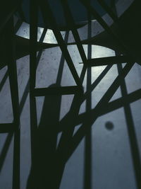 Close-up of shadow on tiled floor