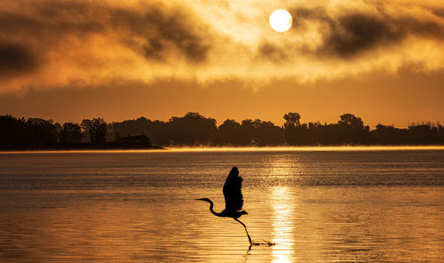 Side view of silhouette man jumping at sunset