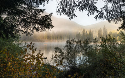 Scenic view of lake by trees against sky