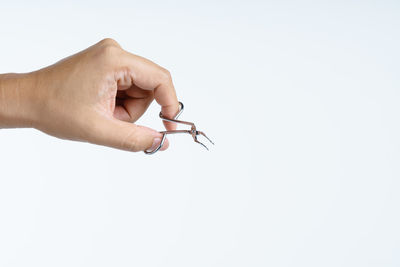 Close-up of hand holding small over white background